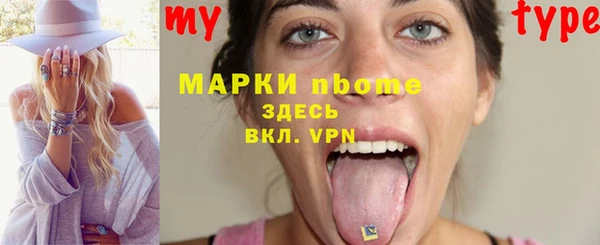 прущие грибы Лабытнанги