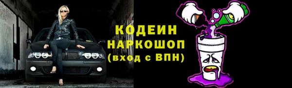 прущие грибы Лабытнанги