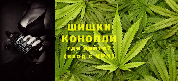 прущие грибы Лабытнанги