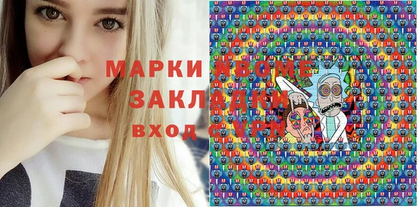 прущие грибы Лабытнанги