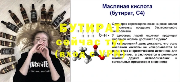 прущие грибы Лабытнанги