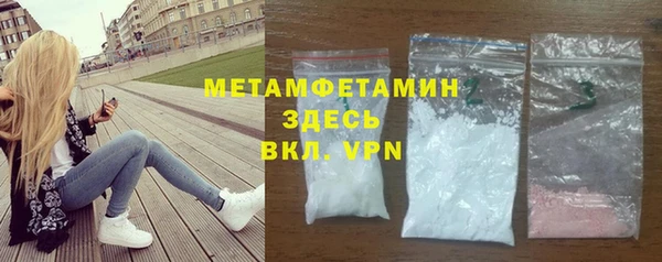 прущие грибы Лабытнанги