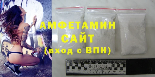прущие грибы Лабытнанги