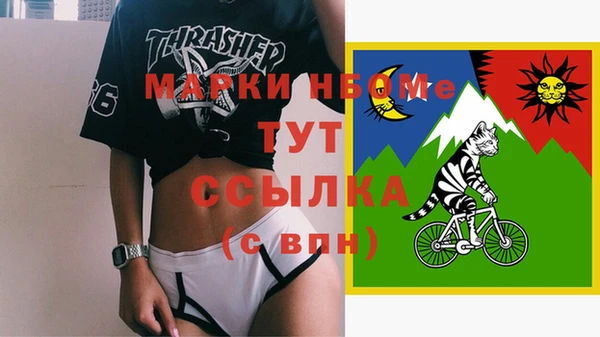 прущие грибы Лабытнанги