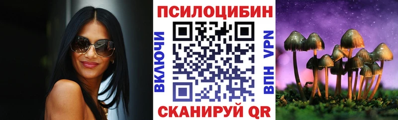 Купить  Анадырь  Галлюциногенные грибы Psilocybe 